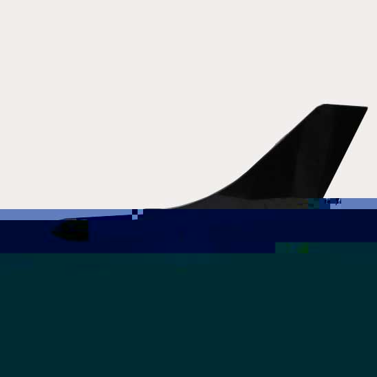 07904.jpg