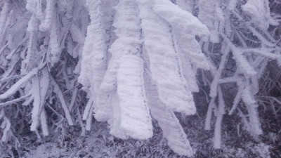 Namraza_Kozárov_2020.jpg (98.54 KiB) Zobrazeno 870 krát Namraza_Kozárov_2020.jpg